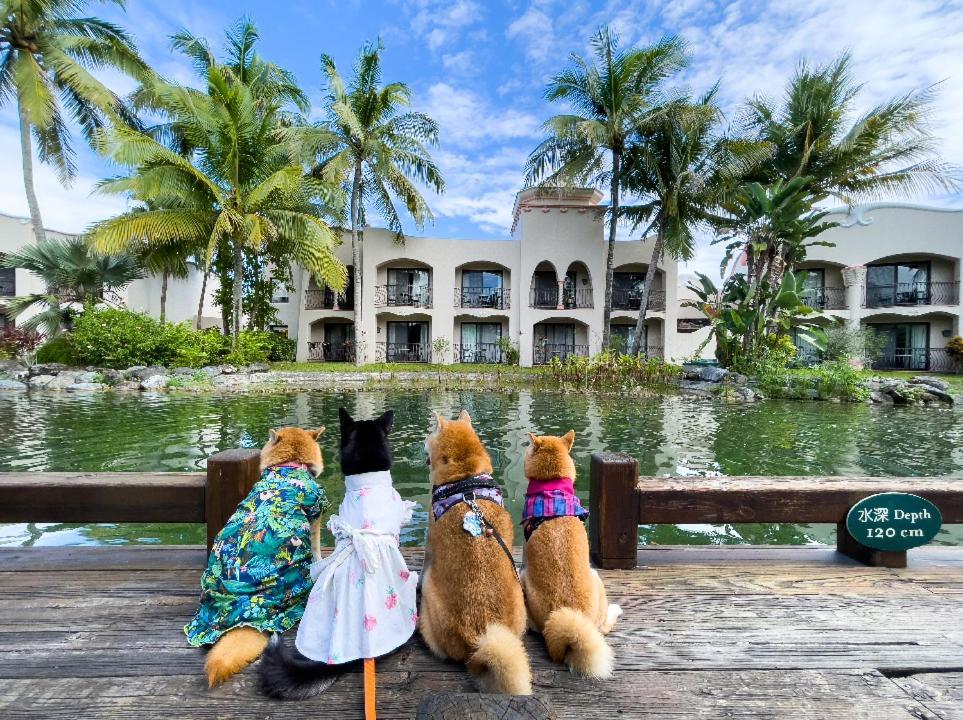 Promisedland Resort & Lagoon Shoufeng Εξωτερικό φωτογραφία Pets at the hotel